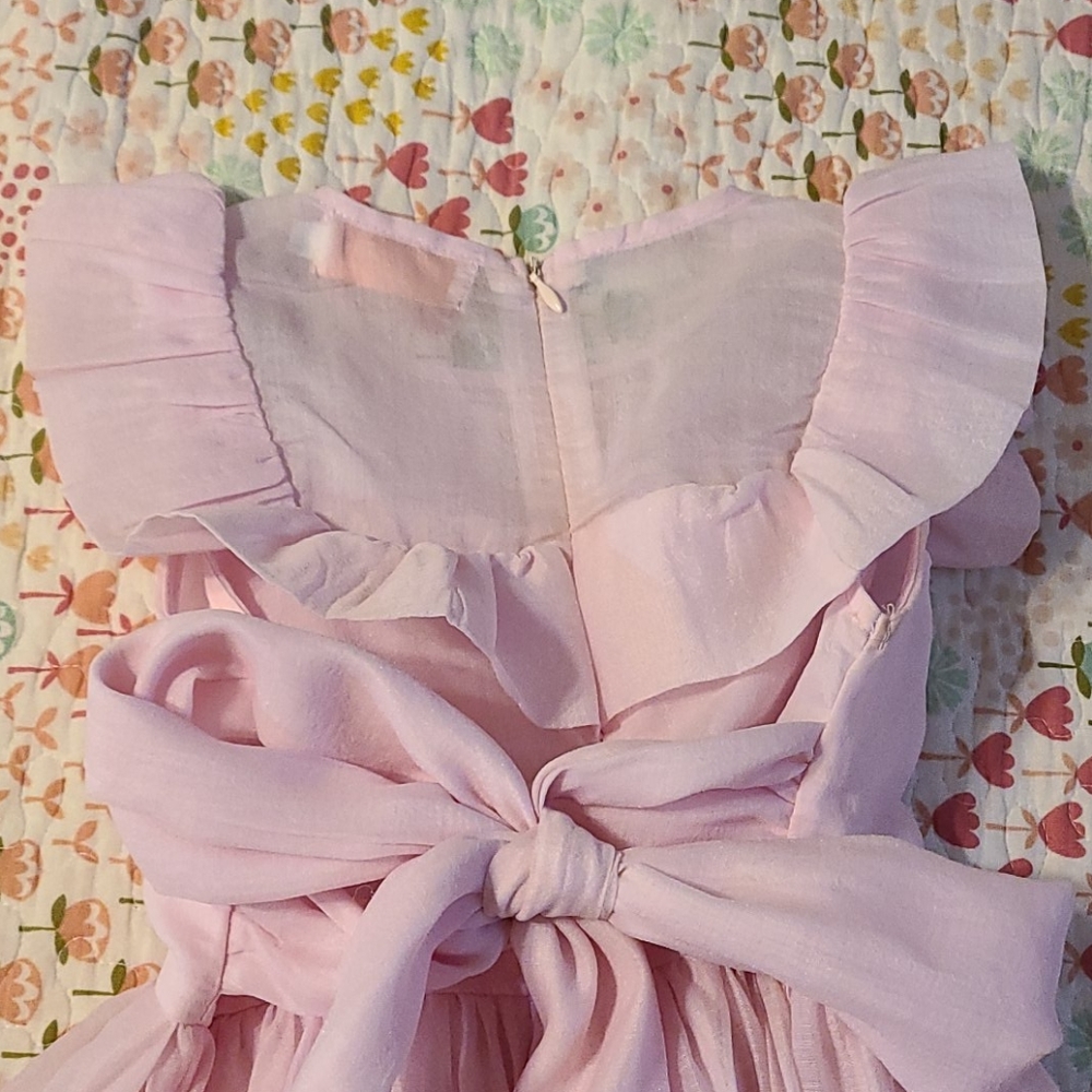 Pink Dress - Picture 4 of 6
